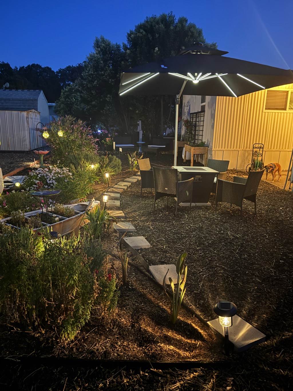 Building a Life with Intention (and a Really Good&nbsp;Ribeye)